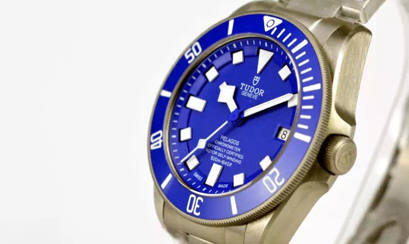 Tudor Blue Watch