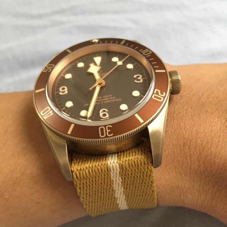 Tudor Bronze Wrist Shot