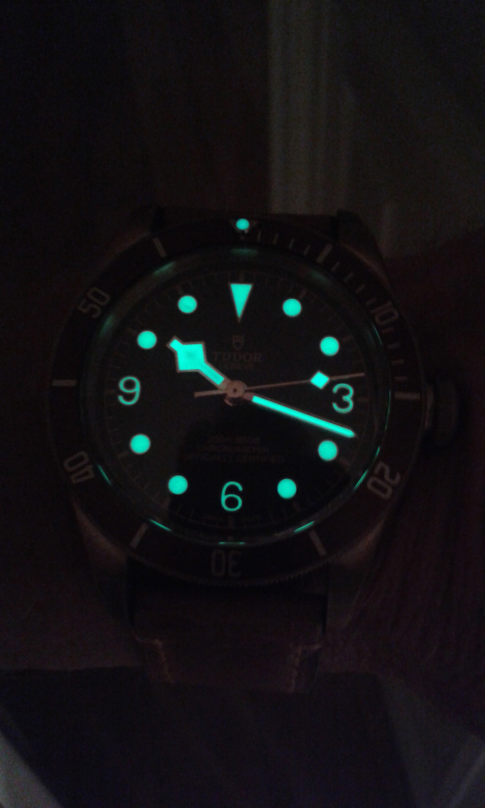 Tudor watch lume dial