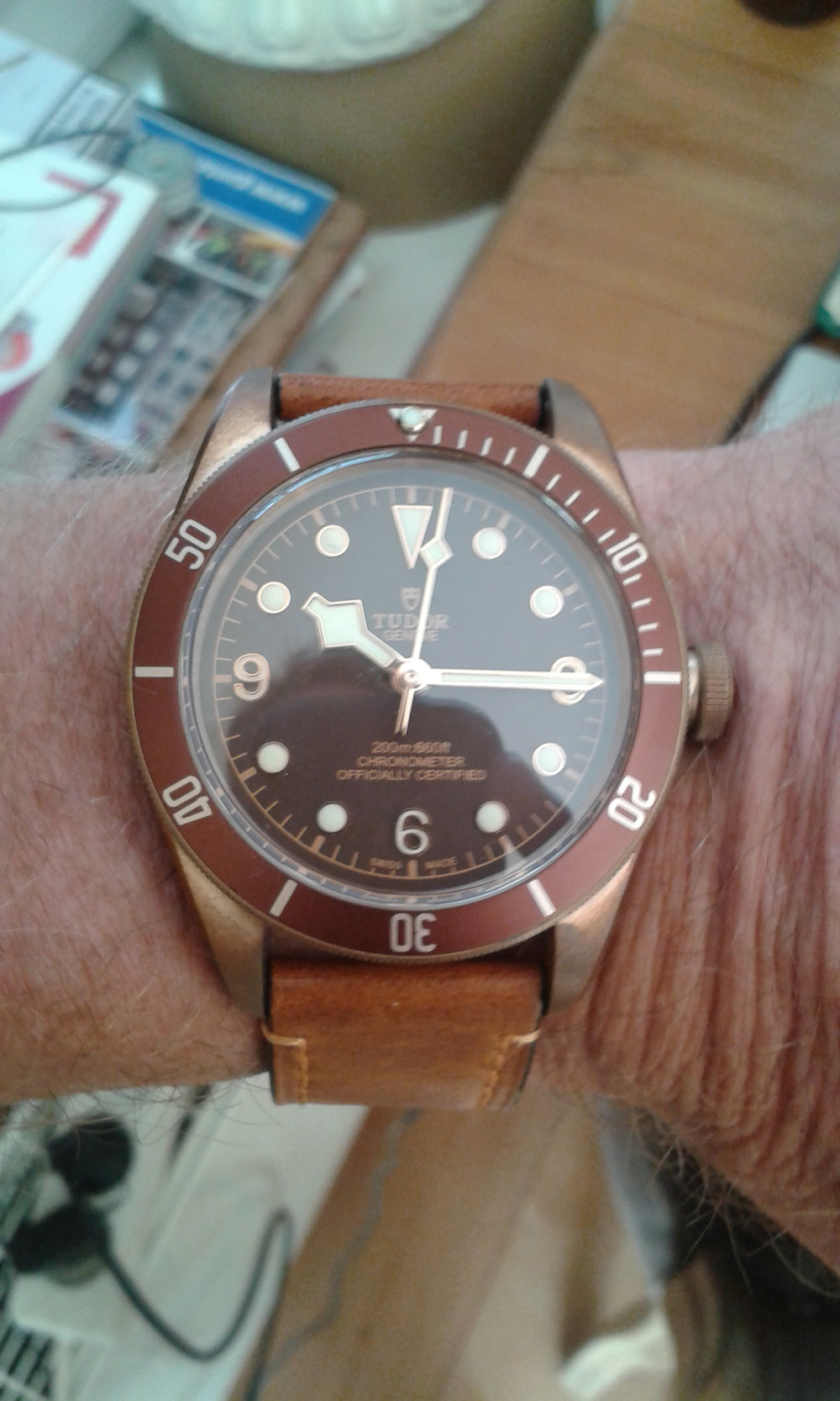 Tudor watch on wrist