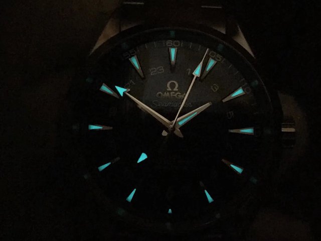 Omega Aqua Terra GMT Dial Lume